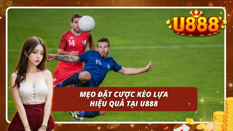 Mẹo đặt cược kèo lựa hiệu quả trên nền tảng uy tín