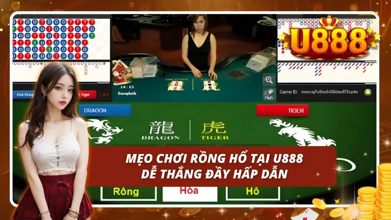 Bí quyết đơn giản nhưng hiệu quả khi tham gia rồng hổ thu hút mọi người tham gia